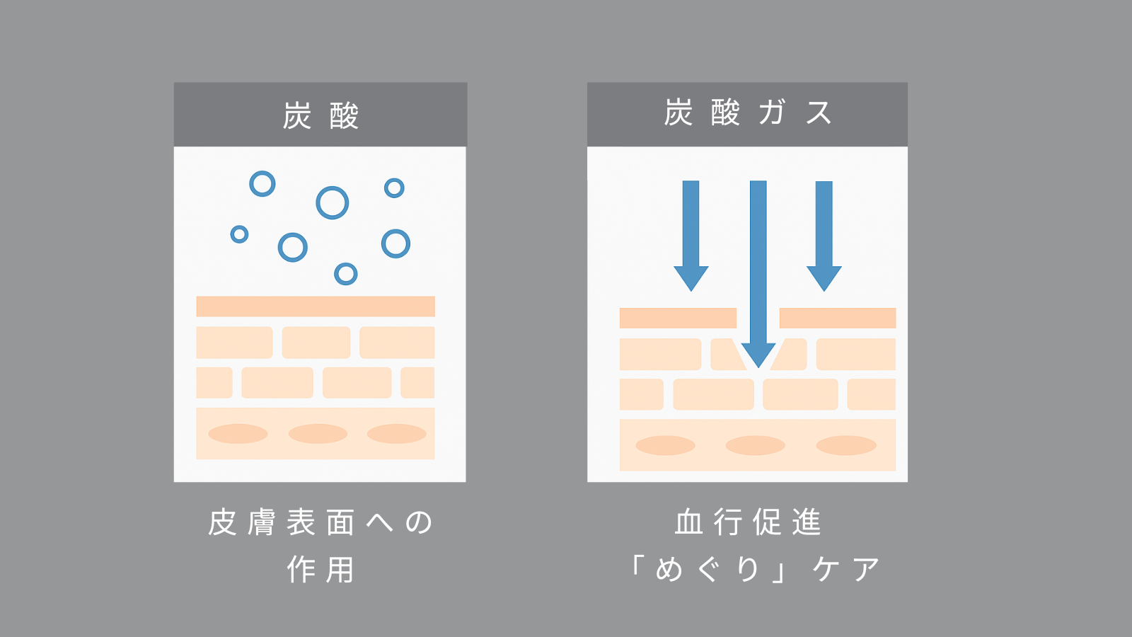 炭酸ガス説明