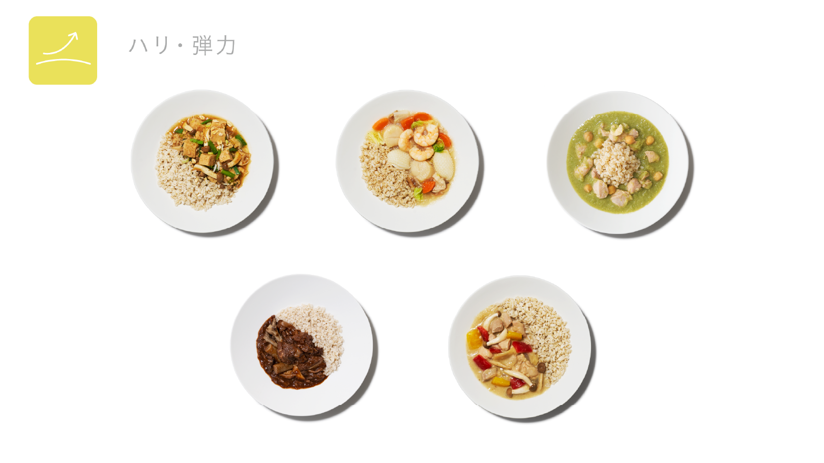 _meal_new_product_kiji_003.png