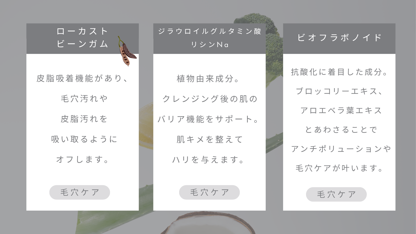 画像の説明